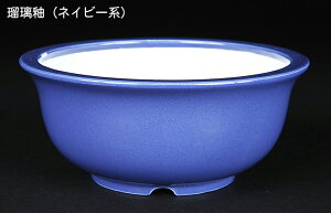 ~͔ Øax5o^۔ F  14cm i~ ~j~ R쑐ɍœK