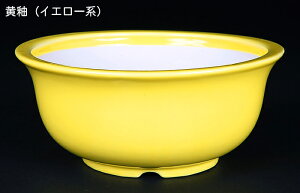 ~͔ Øax5o^۔ F  14cm i~ ~j~ R쑐ɍœK