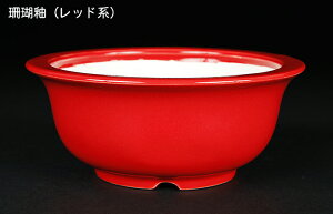 ~͔ Øax4o^۔ F  11cm i~ ~j~ R쑐ɍœK