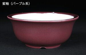 ~͔ Øax4o^۔ F  11cm i~ ~j~ R쑐ɍœK
