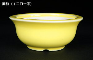 ~͔ Øax3o^۔ F  8cm i~ ~j~ R쑐ɍœK