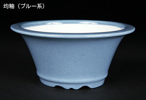 ~͔ Øax4R۔ F  11cm i~ ~j~ R쑐ɍœK