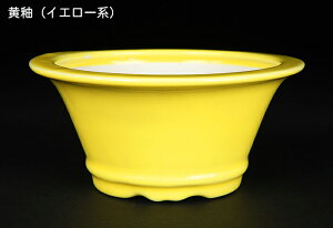 ~͔ Øax4R۔ F  11cm i~ ~j~ R쑐ɍœK