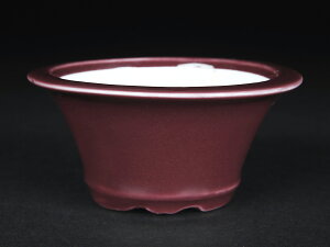 ~͔ Øax3R۔ F  9cm i~ ~j~ R쑐ɍœK