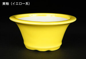 ~͔ Øax3R۔ F  9cm i~ ~j~ R쑐ɍœK