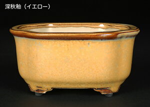 ~͔ Lؒ ΕJ| Aؔ   3.5 10cm Gؖ~ i~ ~j~͂ɍœK