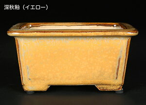 ~͔ Lzʒ ΕJ| Aؔ   3.5 10cm Gؖ~ i~ ~j~͂ɍœK