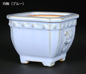 ~͔ Lt ΕJ| Aؔ   3.5 10cm Gؖ~ i~ ~j~ R RɍœK