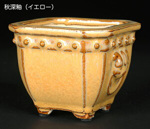 ~͔ Lt ΕJ| Aؔ   3 9cm Gؖ~ i~ ~j~ R RɍœK