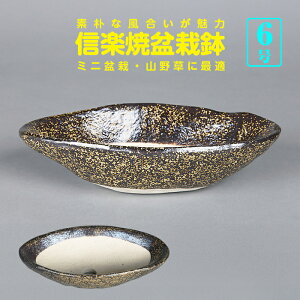 ~͔ R쑐 Myċ\oM^ 6 18cm Ε n~ 񂹐AɍœK