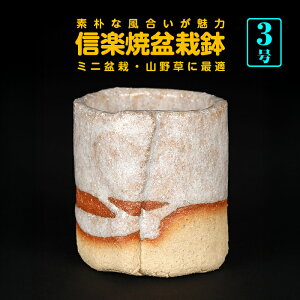 ~͔ R쑐 Myč킹۔  2 5cm i~ ~j~ 쑐 ɍœK