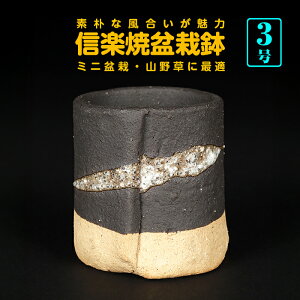 ~͔ R쑐 Myč킹۔  2 5cm i~ ~j~ 쑐 ɍœK