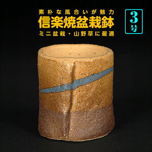 ~͔ R쑐 Myč킹۔  2 5cm i~ ~j~ 쑐 ɍœK