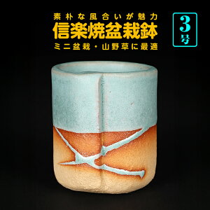 ~͔ R쑐 Myč킹۔  2 5cm i~ ~j~ 쑐 ɍœK