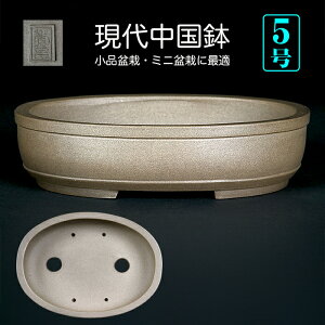 ~͔ Aؔ uGD㉺ёȉ~v  F  5 16cm O[ i~ ~j~ R쑐ɍœKyz