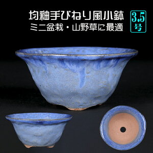 ~͔ ֎т˂蕗F Aؔ  F  3 10cm u[ i~ ~j~ R쑐ɍœK