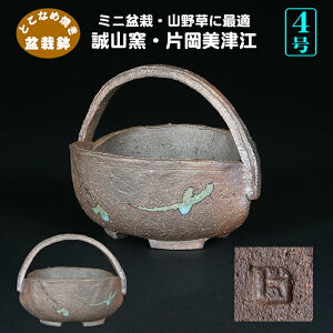 ~͔ Rq ЉÍ] t R 4 13cm n~ R쑐ɍœK