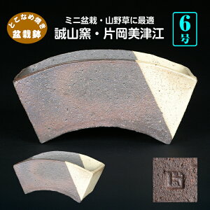 ~͔ Rq ЉÍ]  R 6 18cm n~ R쑐ɍœK