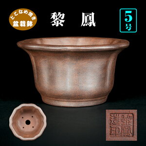 ~͔ tP։Ԏ 튊 CzE D 5 16cm ~ i~ i~͂ɍœK