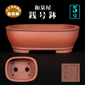 ~͔ Kp 튊 D 5 15cm D ~ i~ ~j~͂ɍœK