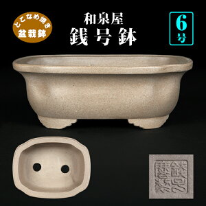 ~͔ KO؉Z 튊 D 6 19cm GD ~ i~ ~j~͂ɍœK