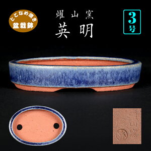 ~͔ ࠎRqpڗ֑ȉ~ 튊 ƂȂ lCr[ 3 10cm i~ ~j~͂ɍœK