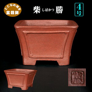 ~͔ ďzʐ 튊 D 4 D D i~ ~j~͂ɍœK