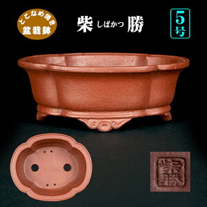 ~͔ ďOR؉Z 튊 D 5 D D i~ ~j~͂ɍœK