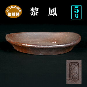 ~͔ ؊۔ io M^ M 튊 CzE D 5 16.5cm i~ R쑐 񂹐AɍœK