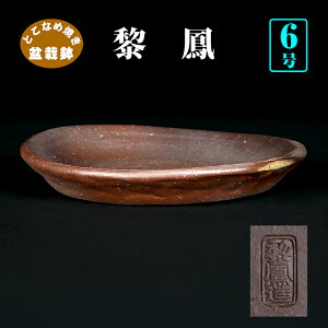 ~͔ ؊۔ io M^ 튊 CzE D 6 19cm i~ R쑐 񂹐AɍœK yz