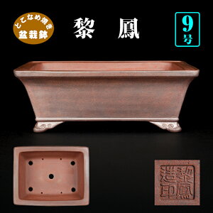 ~͔ tPR 튊 CzE D 9 27cm ~ i~͂ɍœK