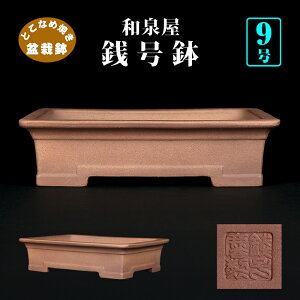 ~͔ KO㉺ђ 튊 D 9 26cm D ~ i~͂ɍœK