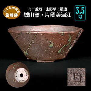 ~͔ Rq ЉÍ] ^^킹 R 5 16cm n~ R쑐ɍœK