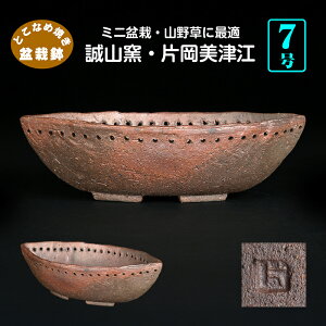 ~͔ Rq ЉÍ] M^ R 7 20cm n~ R쑐ɍœK