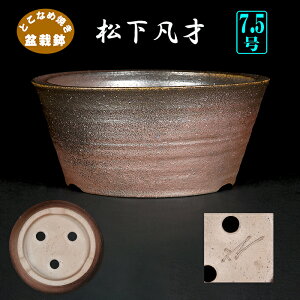 ~͔ }ːؗ۔  튊 7 i~ 񂹐AɍœK