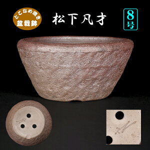 ~͔ }˓؊۔ 튊 8 i~ 񂹐AɍœK