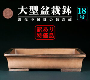 ~͔ DO   xߔ X Vn VfC ~͂ɍœK