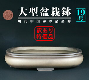 ~͔ GD܎p   xߔ X Vn EfC ~͂ɍœK