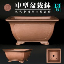 楽天市場】落款（種類（植木鉢）盆栽鉢）（植木鉢｜植木鉢・プランター 