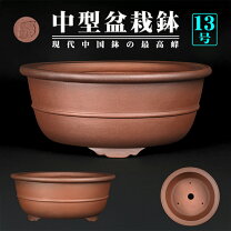 楽天市場】植木鉢（種類（植木鉢）盆栽鉢・サイズ（植木鉢）13号 
