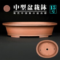 楽天市場】盆栽 鉢 15号の通販