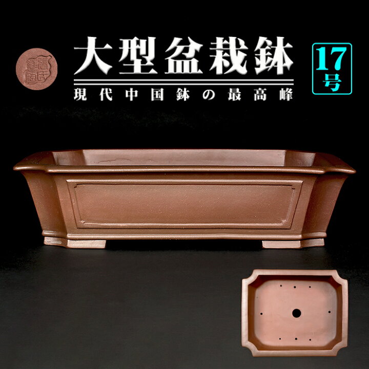 楽天市場】盆栽鉢 紫泥外縁隅切額面長方鉢 植木鉢 中国鉢 張氏製陶 