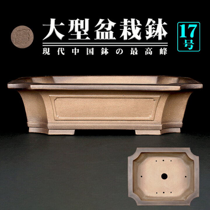 楽天市場】盆栽鉢 烏泥外縁隅切額面長方鉢 植木鉢 中国鉢 張氏製陶 