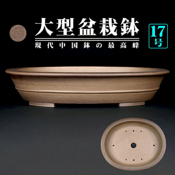 楽天市場】盆栽鉢 烏泥外縁胴紐楕円鉢 植木鉢 中国鉢 張氏製陶 落款 