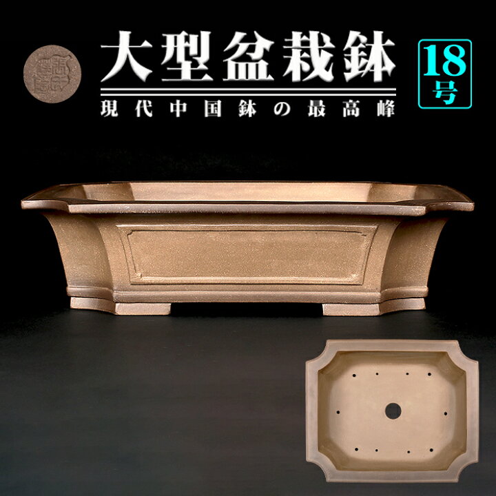 楽天市場】盆栽鉢 烏泥外縁隅切額面長方鉢 植木鉢 中国鉢 張氏製陶 