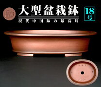 楽天市場】盆栽鉢 大型の通販