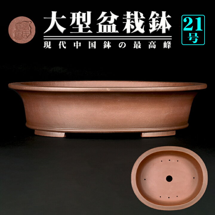 楽天市場】盆栽鉢 紫泥外縁下紐楕円鉢 植木鉢 中国鉢 張氏製陶 落款 