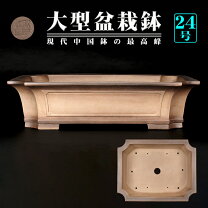 楽天市場】盆栽鉢 舟山の通販
