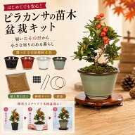 盆栽キット ピラカンサ 初心者 スターターキット 送料無料 ミニ盆栽 小品盆栽 実物盆栽 盆栽セット 小石…