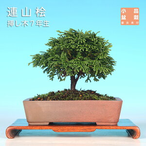 ~ ARO qmL w c[ ~ i~ ~j~ ~͑f